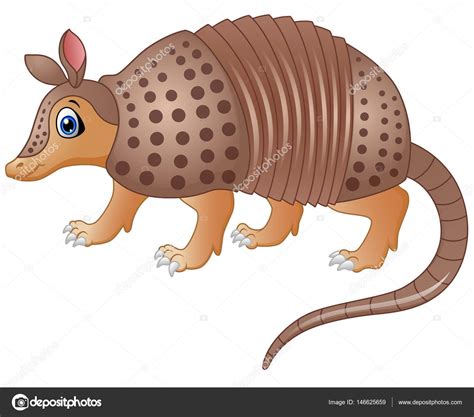 Divertido Armadillo De Dibujos Animados Stock Vector By Dualoro