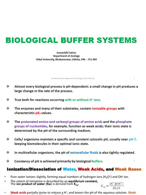 Biological Buffer Systems Pdf