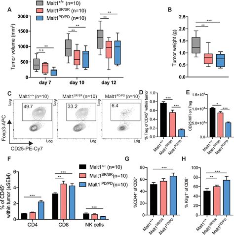 Malt1 Self‐cleavage Is Critical For Regulatory T Cell Homeostasis And