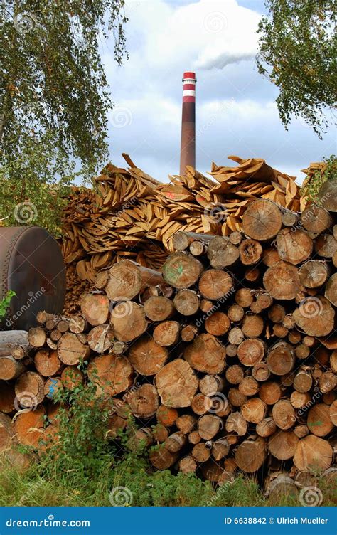 Biomass Power Plant Stock Photo Image Of Firewood Chop 6638842