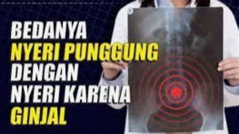 Gejala Sakit Pinggang Dan Sakit Ginjal Sering Tertukar Karena Lokasinya