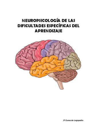 PREGUNTAS GUIA NEURO APRENDIZAJE Pdf