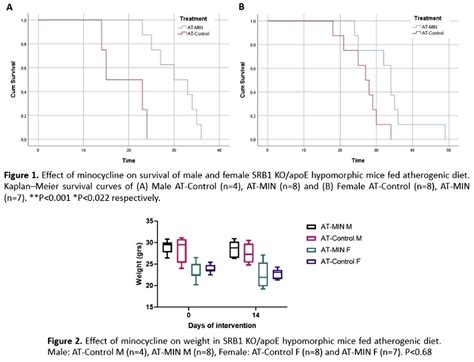 Sex Dependent Differences On The Impact Of Minocycline Administration