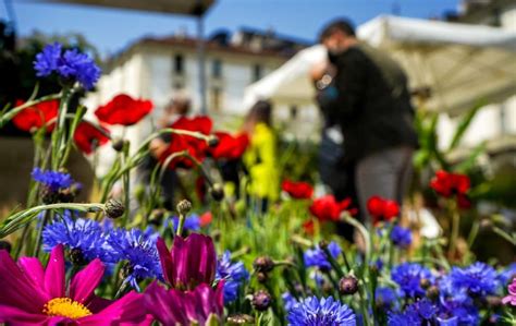 AgriFlor Marzo 2023 Piazza Vittorio Diventa Un Giardino Con Ledizione