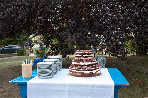 Svatebn Naked Dort S Lesn M Ovocem