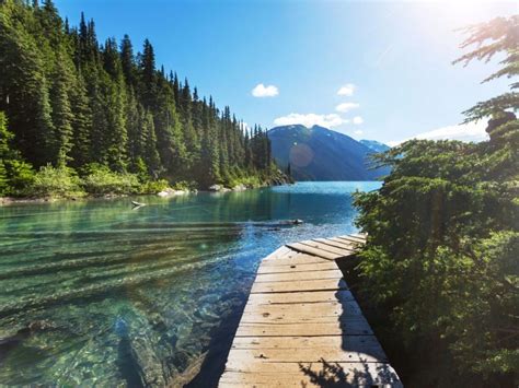 The 10 Coolest Things To Do In Whistler In Summer With Kids | Whistler