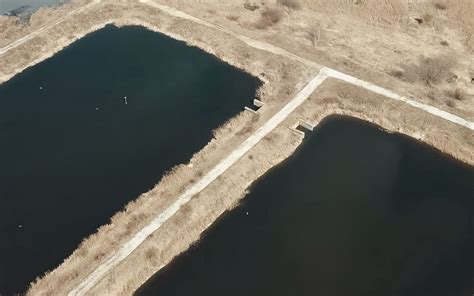 Drying Beds Sludge Processing