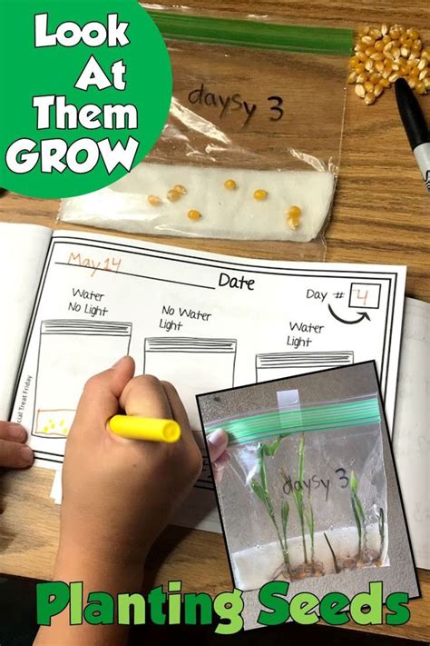 Planting Seeds Activities Plant Unit Plant Lessons Plants Science Experiments Plant Science