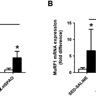 Effect Of Exerciseinduced HSP72 Expression On MRNA Expression Of A