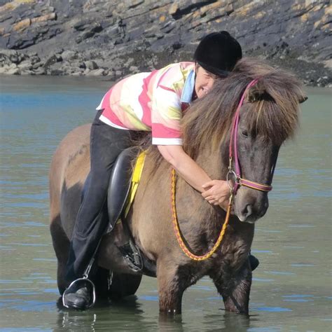 Icelandic Horse Colours – Icelandic Horse Society of Great Britain – IHSGB