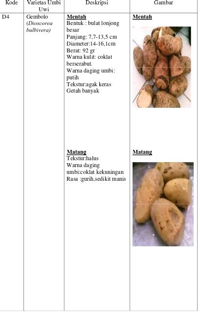 Karakteristik Beberapa Umbi Uwi Dioscorea Spp Dan Kajian Potensi