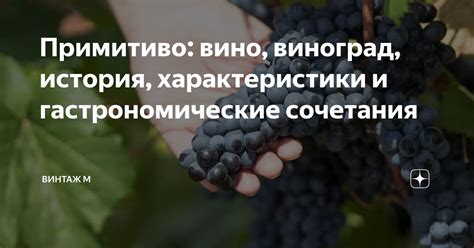 Примитиво: вино, виноград, история, характеристики и гастрономические ...