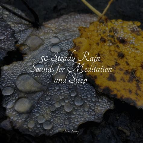 Steady Rain Sounds For Meditation And Sleep Album By Nature Sounds