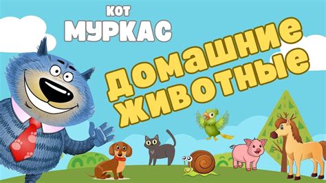 Домашние животные - YouTube