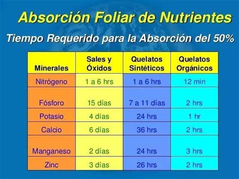 InfoAgronomo Net on Twitter Tiempo de absorción foliar de nutrientes