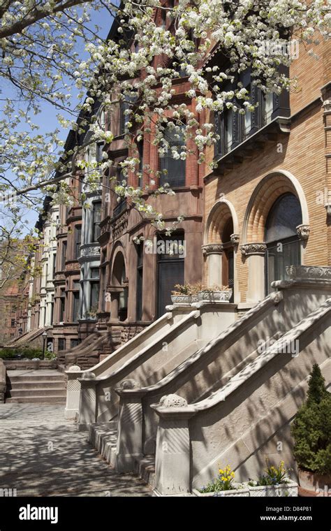 Brownstones in Historic Park Slope Brooklyn, NY Stock Photo - Alamy