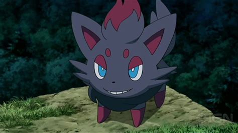 Pokemon Profiles Zorua 570