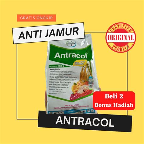 Jual Antracol Fungisida Obat Anti Jamur Aglonema Dan Tanaman Sayur Asli