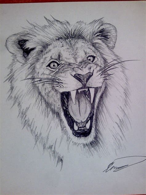 lion , pencil by cleefard on DeviantArt