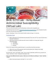 Understanding Kirby Bauer Antimicrobial Susceptibility Test Course Hero