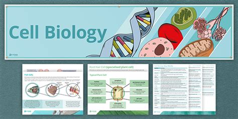 Cell Biology Posters Display Pack | Junior Cert