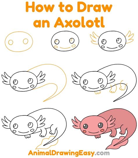 How To Draw An Axolotl Step By Step Cute Easy Drawings Axolotl Art