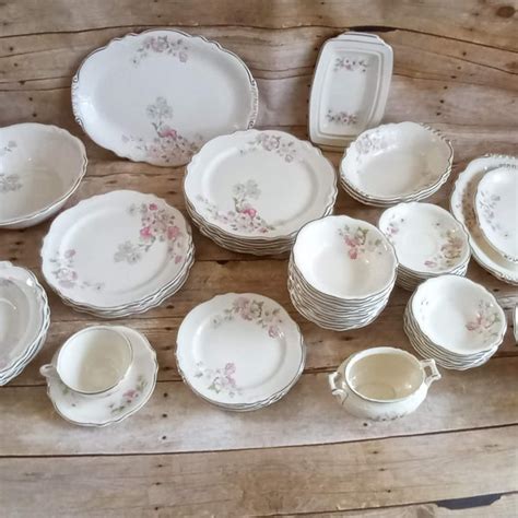 Vintage Virginia Rose Dinnerware Etsy