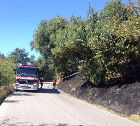 Bruciano Sterpaglie Strada Chiusa Cronache Maceratesi