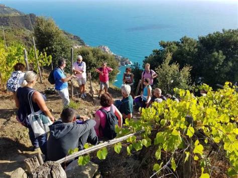 Sabato 14 Settembre 2024 Percorso Naturalistico Poetico Alla Scoperta