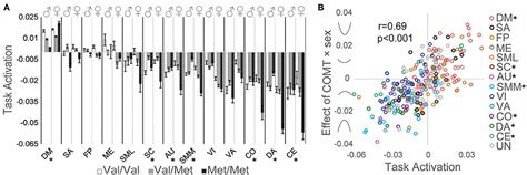 Frontiers Comt Val158met Polymorphism Exerts Sex Dependent Effects On