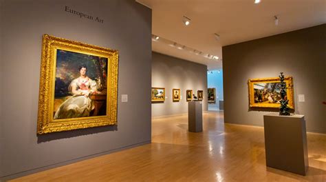 Dallas Museum of Art in Downtown Dallas | Expedia.co.in