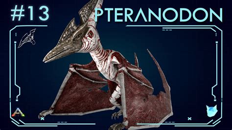 Pteranodon 13 Everything You Need To Know Ark Survival Evolved