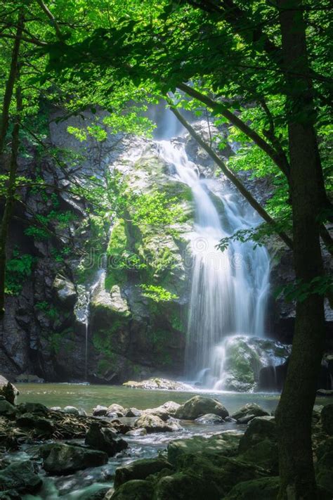 Toma Vertical De Una Hermosa Cascada En El Pavo De Yalova Imagen De