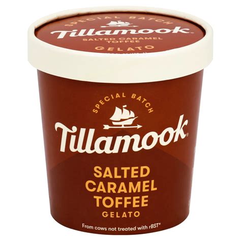 Tillamook Special Batch Salted Caramel Toffee Gelato Shop Ice Cream