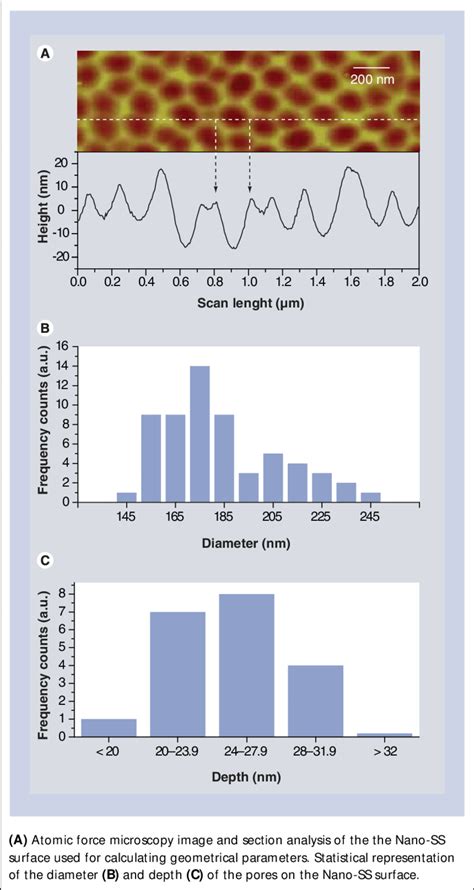 Characterization of the nanostructure structure. | Download Scientific ... 