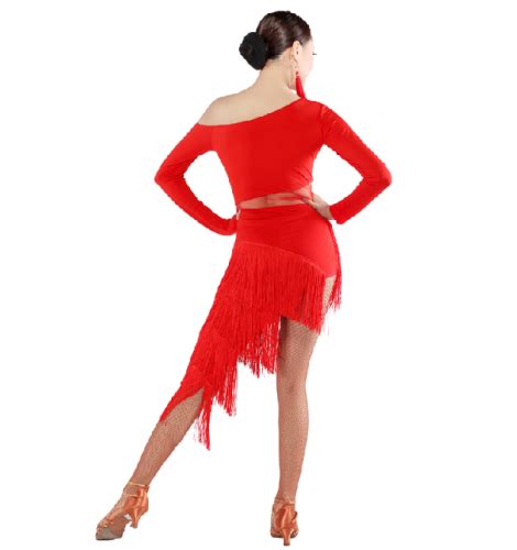 Women Long Tassel Long Sleeves Latin Dance Dress Set Latin Dance Top Dance Skirt