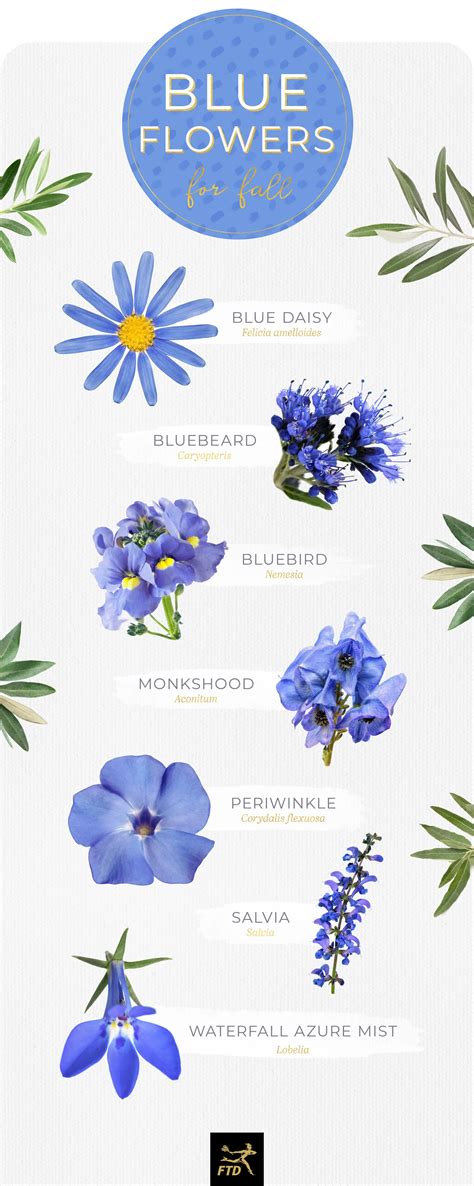 30 Types of Blue Flowers - FTD.com