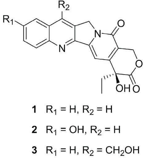 Structure Of Camptothecin And Its Analogues Camptothecin