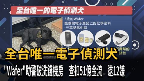 電子偵測犬「wafer」立大功 高雄警偵破博弈轉帳水房－民視新聞 Youtube