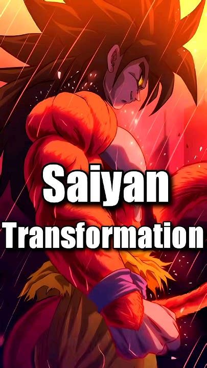 Every Saiyan Transformation Ranked Shorts Dragonballsuper Dbz Fyp Viral Youtube