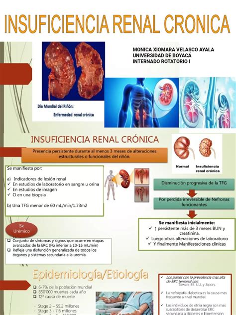 Insuficiencia Renal Cronica Pdf