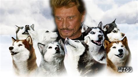 Johnny Hallyday Entre Chiens Et Loups Montage En Hd Mt Youtube