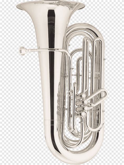 Tuba Euphonium Cornet Brass Instruments Музыкальные инструменты ...