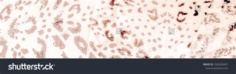 Artistic Leopard Print Nude Watercolor Cheetah Stock Illustration Shutterstock