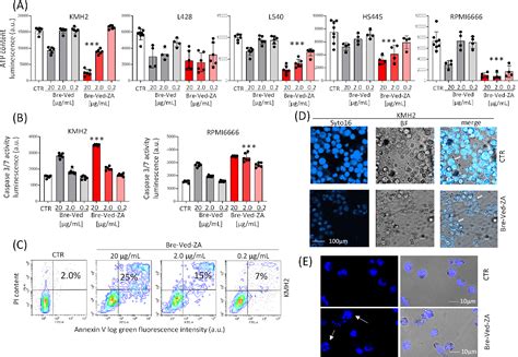 Figure From Antibodydrug Conjugate Made Of Zoledronic Acid And The