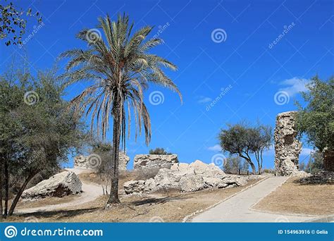 Camino En Parque Y Las Ruinas De La Torre En El Parque Ashkelon