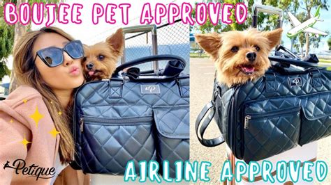 The Best Pet Carrier For Boujee Pets Airline Approved Pet Carrier