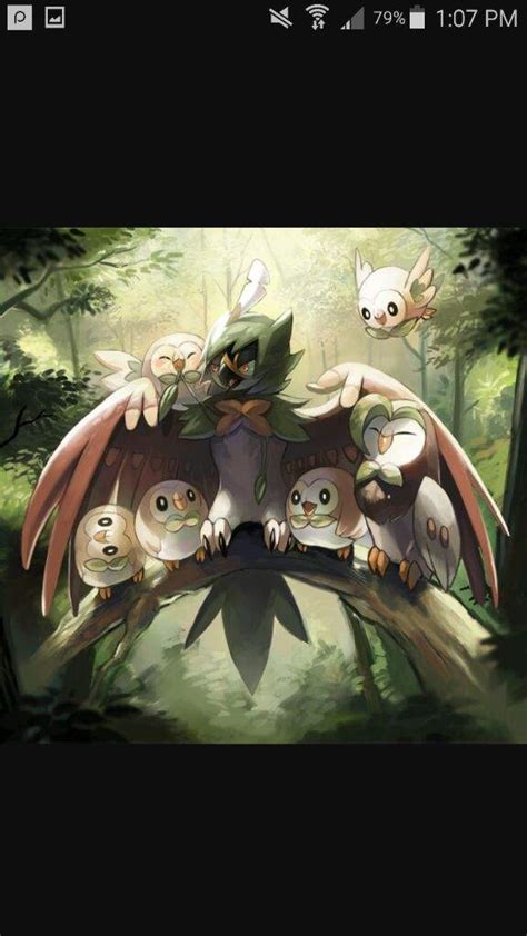 Rowlet Evolution Line | Wiki | Pokémon Amino