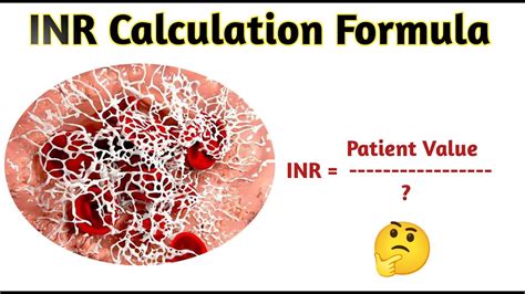 Inr Calculation Formula Pt Inr Manual Calculation Youtube