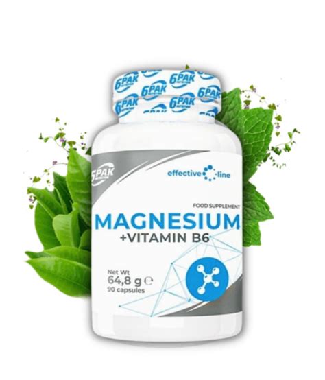 6PAK Magnesium + Vitamin B6 90caps - SUPPLEMAN | Suplementi - Bosna i ...
